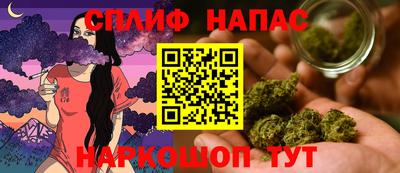 тгк Шелехов