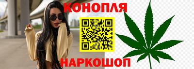 тгк Шелехов