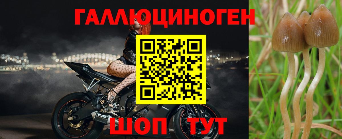 Галлюциногенные грибы мухоморы Псков